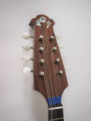 컬러 체만돌린 No.13 스기