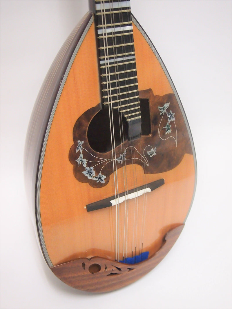 Calace Mandolin No.13 Cedar