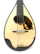 Ochiai Mandolin S-5