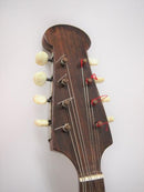 【リユース】カラーチェマンドリン 1969年